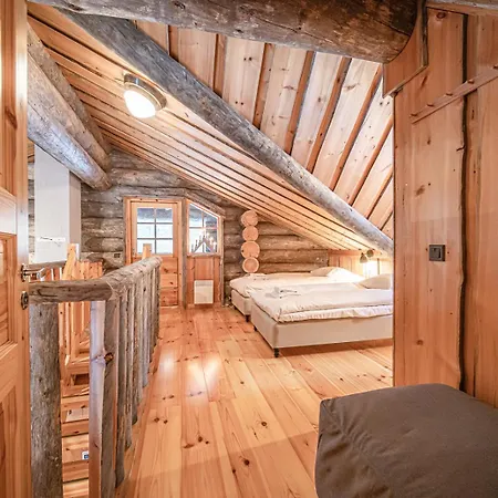 Villa Riekkopolku By Aavalevi Levi