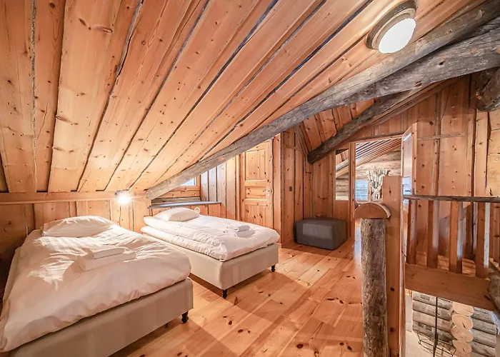 فيلة Riekkopolku By Aavalevi