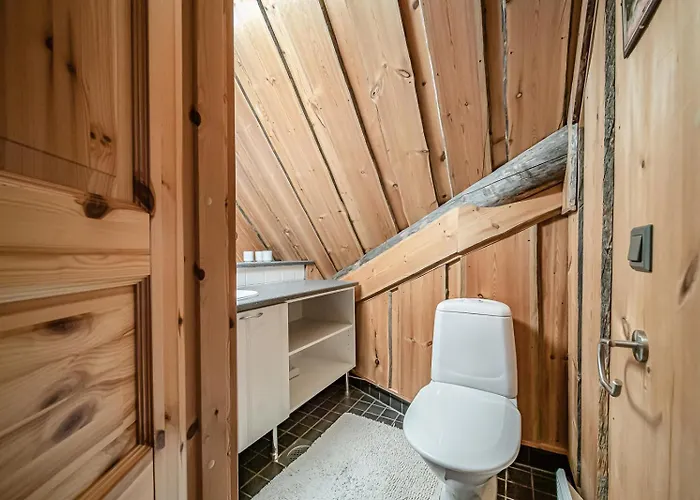 فيلة Riekkopolku By Aavalevi ليفي