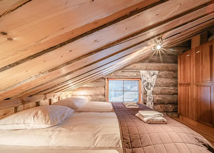 فيلة Riekkopolku By Aavalevi